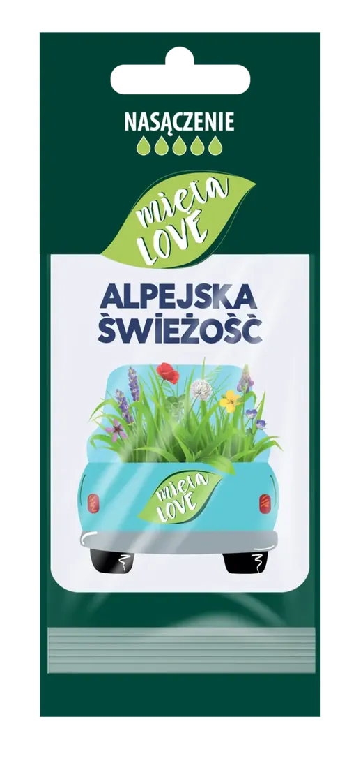 Zapach samochodowy MiętaLove Alpejska świeżość
